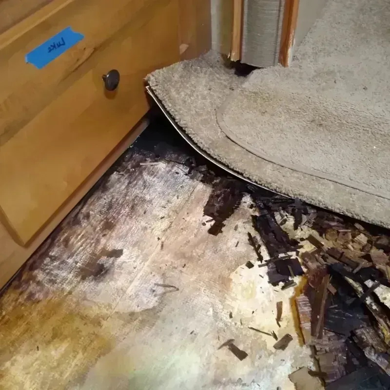 Wood Floor Water Damage in Ocean County, NJ